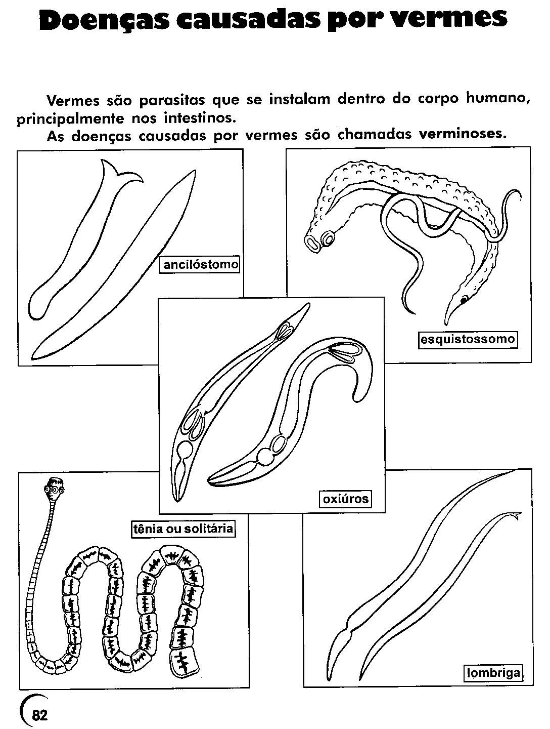 Parasitas em sangue do CEC